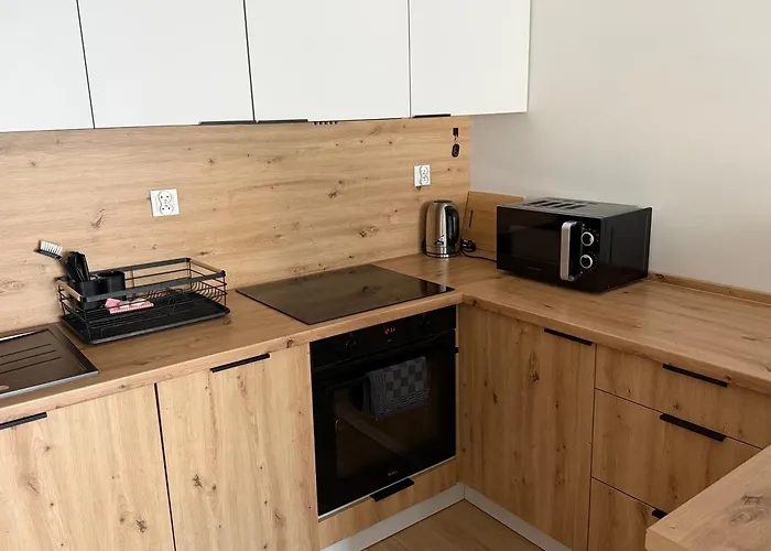 شقة Skarbowa 1a Lux 4 & Parking ليشنو